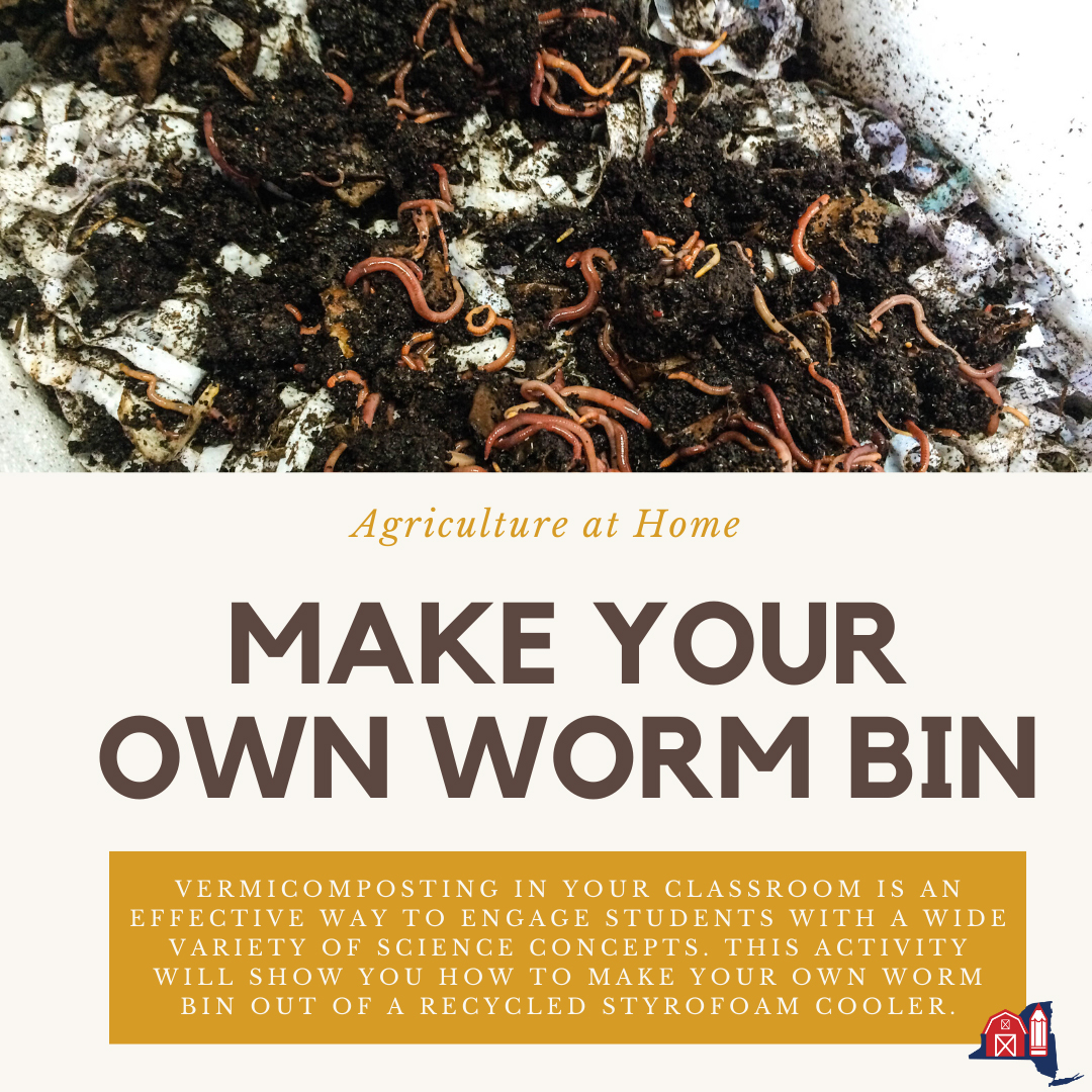 Make Your Own Worm Bin