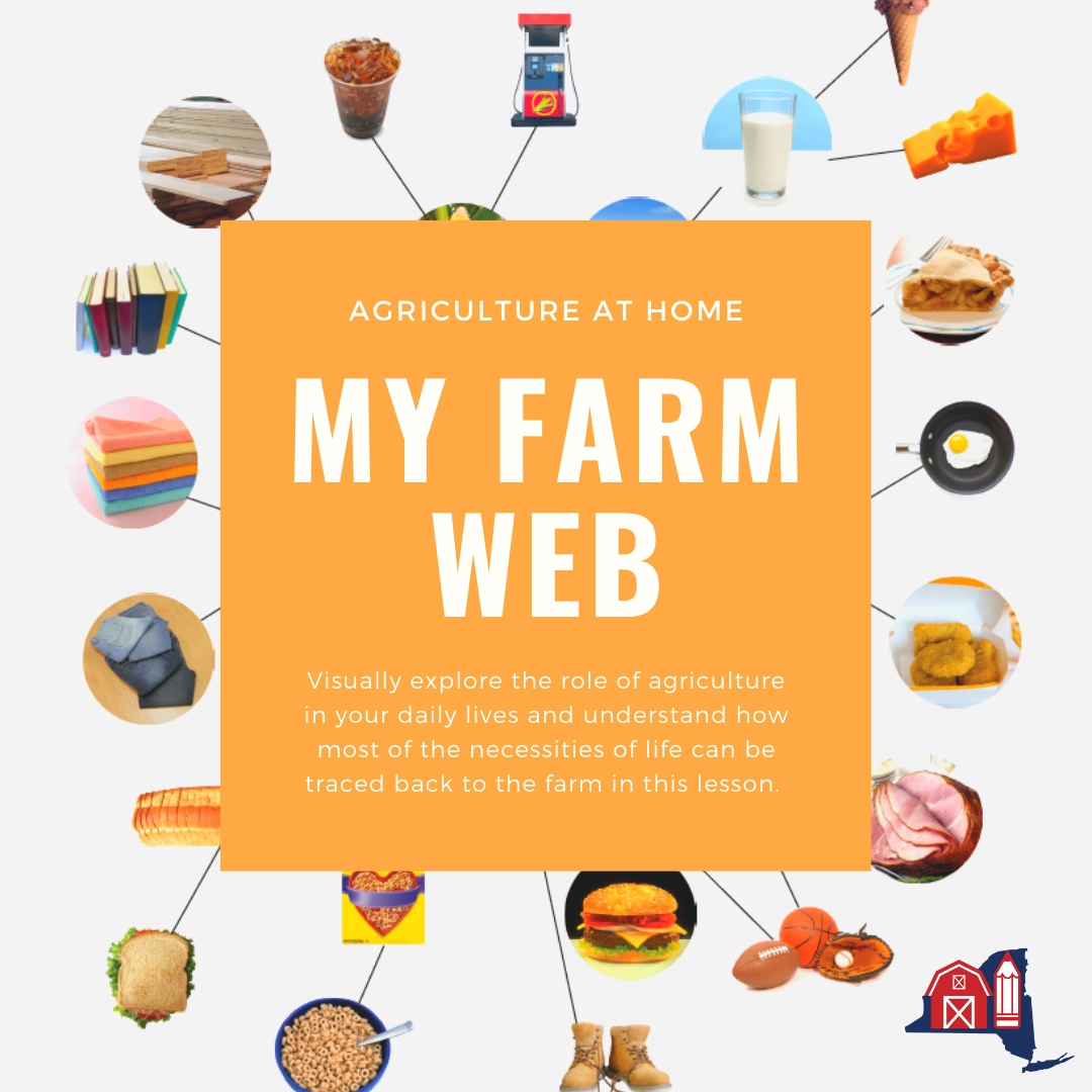My Farm Web